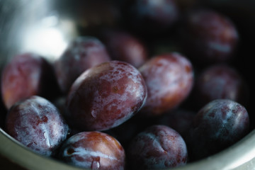 Fototapeta premium fresh plums in steel bowl closeup