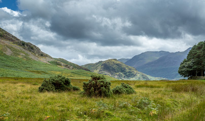 View of the area around Crummock Water, Lake District UK