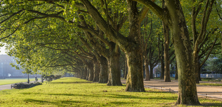 autumn park