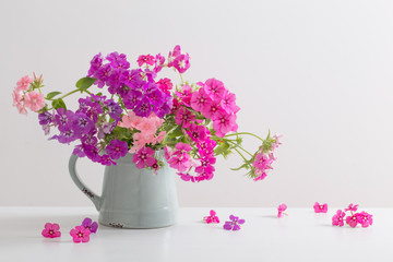 beautiful floxes in jug on white background