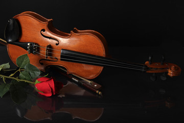 Violino Rosa