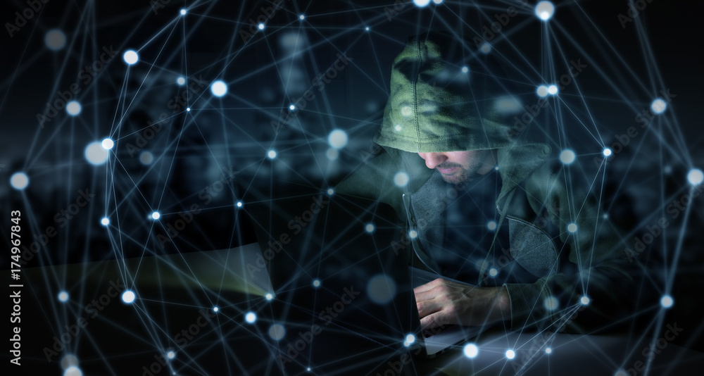Leinwandbilder Hacker accessing to personal data information with a computer 3D rendering