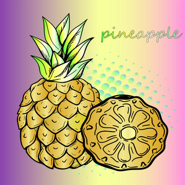 A weird exotic fruit is pineapple. Beautiful gradient sketch of fruit. A poster of food. Pop art style - trend of the season