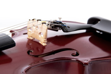 Corde del Violino