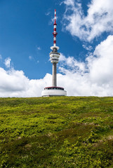 Obraz premium Praded hill in Jeseniky mountains in Czech republic