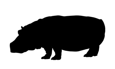 Hippo silhouette isolate on white background vector