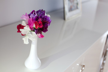  colorful sweet pea flowers