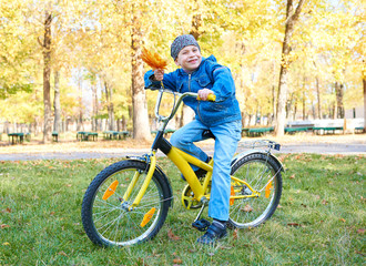 boy riding on Bicycle in autumn Park, bright sunny day, fallen leaves on background