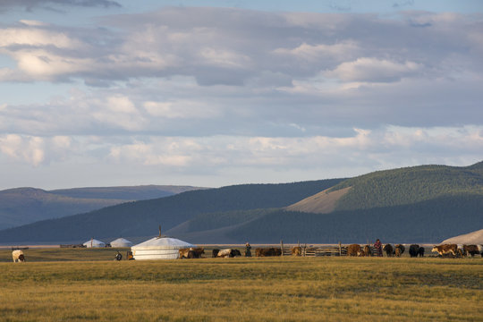 mongolian gers in a landscape