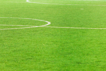 Obraz premium Soccer field, center and sideline.