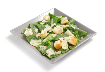 caesar salad in plate on white background