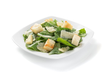 caesar salad in plate on white background