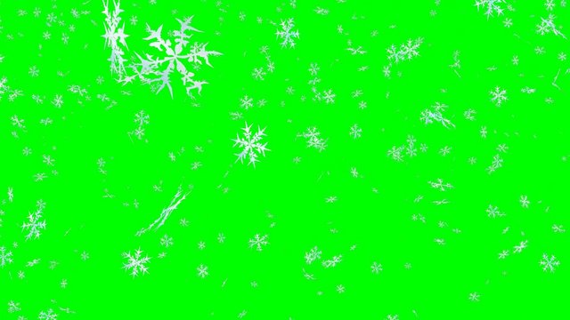 Animated detailed and cartoon like or clip art snow flakes with blue tint falling against green background. Light snowfall.