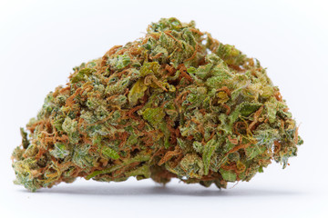 Close up of prescription medical marijuana flower strain Supreme Jack