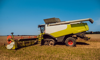 Combine harvester in action on wheat field. Process of gathering a ripe crop.