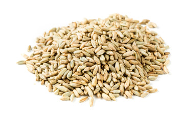 Rye berry grains isolated on a white background