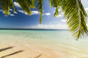 tropical white sand beach with palm leaves