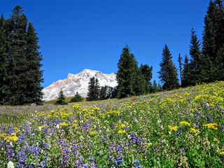 Mount Hood National Park