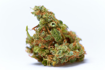 Close up of prescription medical marijuana flower strain Supreme Jack