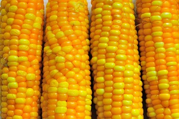boiled corn close-up