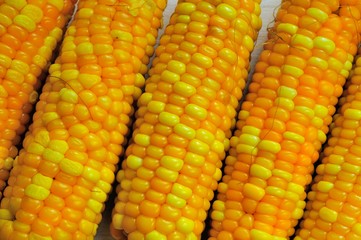 boiled corn close-up