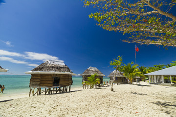 samoan fale bungalow at the beach in samoa savaii lano beach