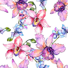 Wildflower orchid flower pattern in a watercolor style. Full name of the plant: colorful orchid. Aquarelle wild flower for background, texture, wrapper pattern, frame or border.