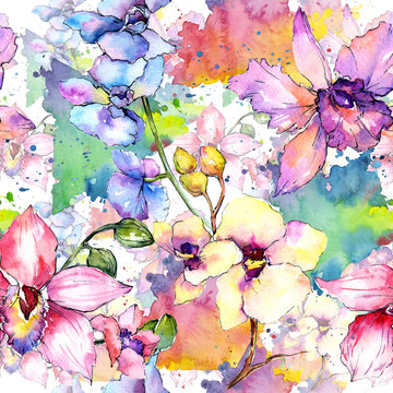 Wildflower orchid flower pattern in a watercolor style. Full name of the plant: colorful orchid. Aquarelle wild flower for background, texture, wrapper pattern, frame or border.