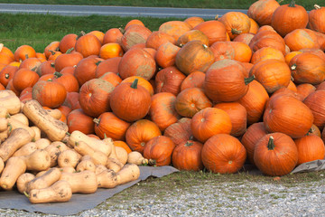 Pumpkins for Helloween on the roadside