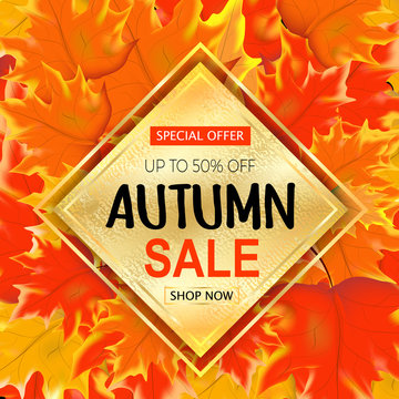 Autumn sale text banner with colorful seasonal fall leaves  background for shopping discount promotion. Vector illustration.