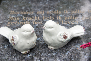 zwei weiße Vögel
