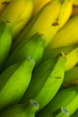 fresh green and yellow bananas ready to eat