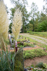 Pampasgras, Grabstätten