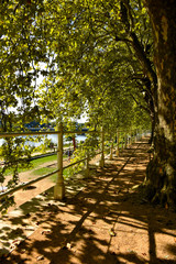 Les berges de l'Allier (Vichy)