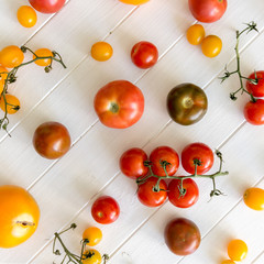 Naklejka na ściany i meble A variety of kinds of tomato 