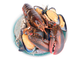close up shot on lobster on white background, seafood menu for meal