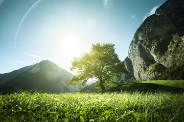 Idyllic landscape in the Alps, tree, grass and mountains, Switzerland