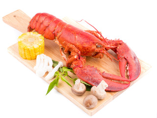 close up shot on lobster on white background, seafood menu for meal
