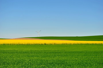 Biopaliwa i energia odnawialna
