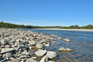 River in the Polar Urals.