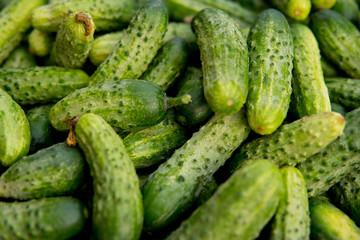 cucumber detail