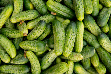 cucumber detail