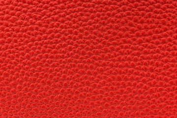 Fototapeta premium the texture of the skin is red