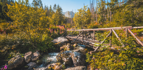 Old Wooden Bridge in Forest in Velicka Valley Leading to Gerlachovsky Peak, High Tatras, Slovakia