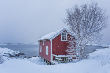 Typical red house, Reine, Lofoten Islands, Northern Norway 