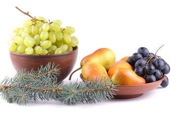 Yellow pears, green and blue grapes in a clay plate with Christmas tree branches on a Christmas...
