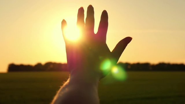 hand stroking sun stroke sun at sunset summer evening