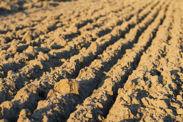 plowed field in autumn