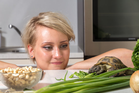 Young girl stares at tortoise eating salad