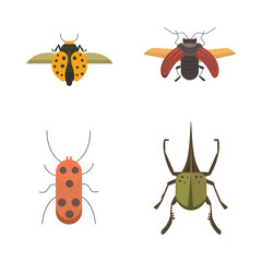 Set of insects flat style vector design icons. Collection nature beetle and zoology cartoon illustration. Bug icon wildlife concept